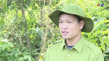 Tết của những người giữ rừng