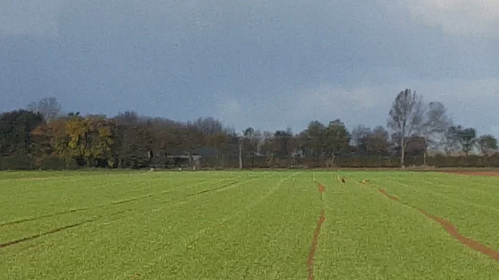 Shakira sista 2 snowman coursing