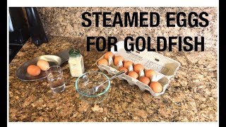 STEAMED EGGS TUTORIAL FOR GOLDFISH
