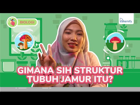 Video: Struktur Sel Jamur