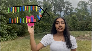 Telomeres: The Secret to Aging | Breakthrough Junior Challenge 2023 #breakthroughjuniorchallenge2023