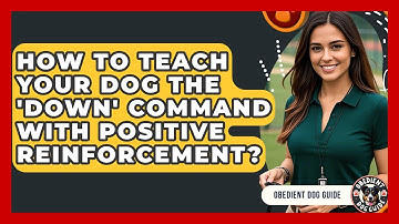 How To Teach Your Dog The 