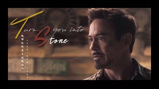 [Iron Man - Tony Stark] Turns You Into Stone (Lyrics+Vietsub)