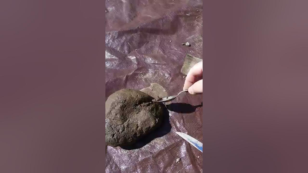 DIY Concrete Garden Rocks YouTube