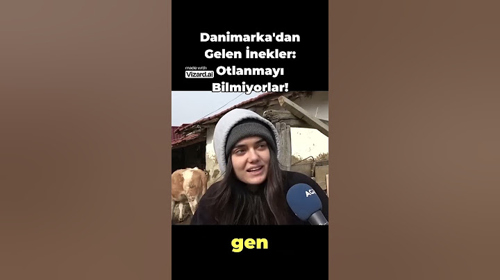 Danimarka'dan Gelen İnekler  Otlanmayı Bilmiyorlar!