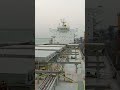 BULLDOZER JCB inside the ship for cargo opration | Payloader ship #ship #jcb #bulldozer #payloader