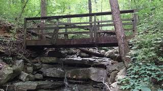 Old Railroad Bed Trail: Human-Environment Interaction