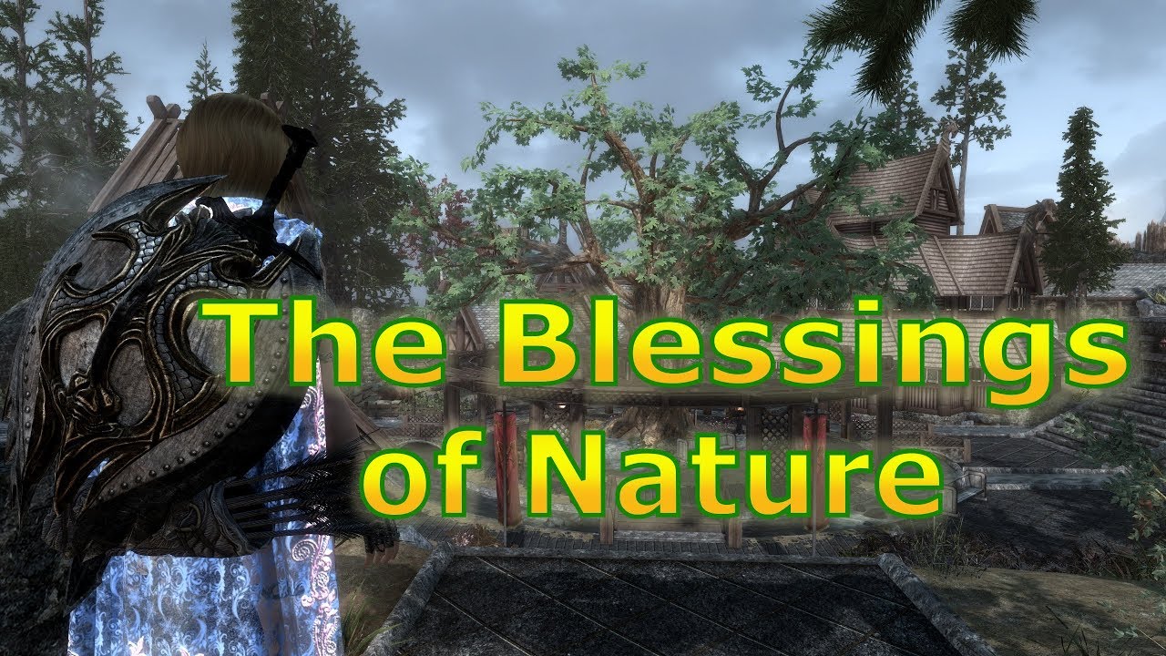 Skyrim SE - Freya's Blessings of Nature - SKSE64 2.0.12 - YouTube