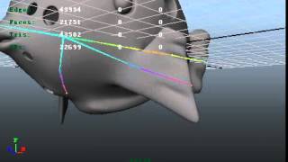 cute hole fish-animation test of rigging fin