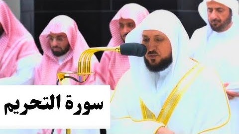 تلاوة فضيلة الشيخ ماهر المعيقلي / يا أيها الذين آمنوا قوا انفسكم واهليكم نارا / سورة التحريم