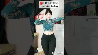 Live Cindo Body Bohay