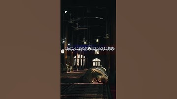 مزمار من مزامير داود عليه السلام بصوت القارئ الصغير مشاري البكو #قرآن #كل_يوم_سورة #quran