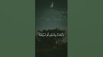 سورة التوبة | القارئ : #عبدالرحمن_مسعد #quran #راحة_نفسية #viral #foryou #اجر_لي_ولكم🤎.