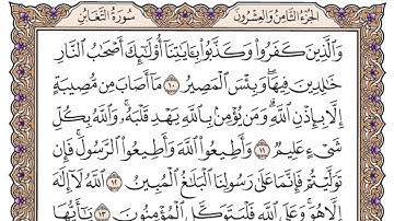 سورة التغابن مكتوبة / سعود الشريم