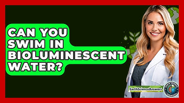 Can You Swim In Bioluminescent Water? - Earth Science Answers