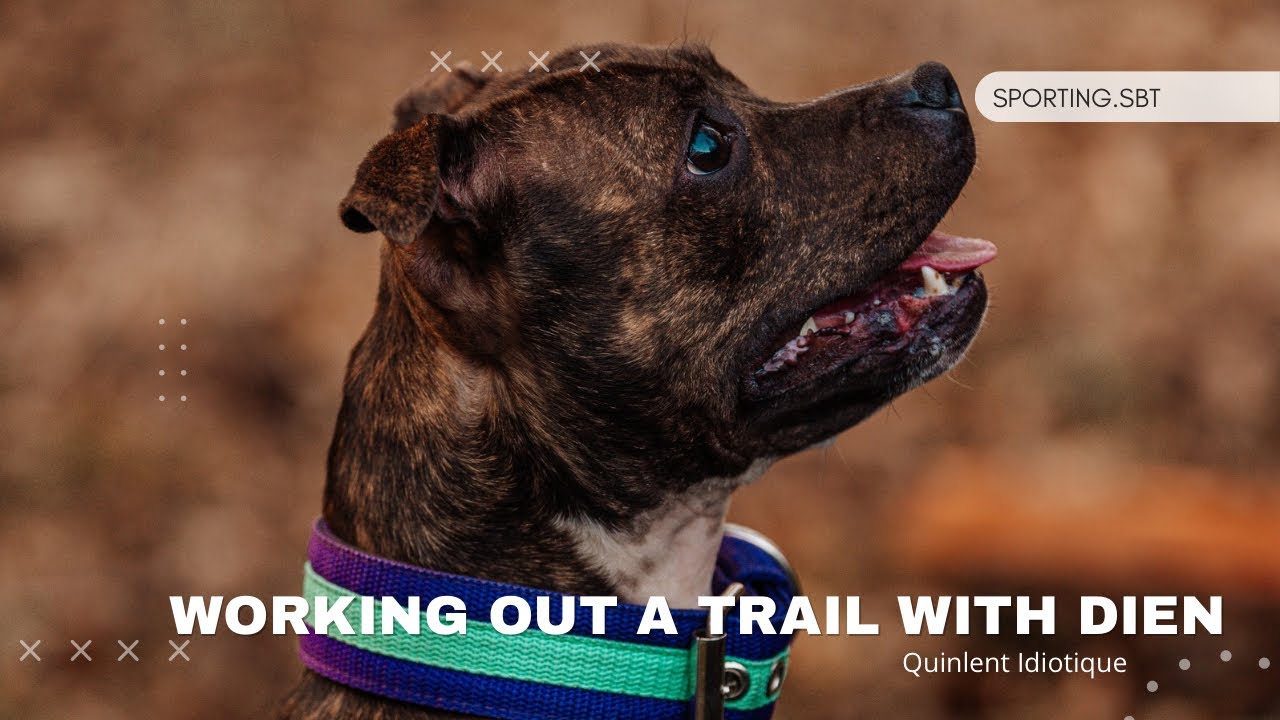 Working out a trail with Dien