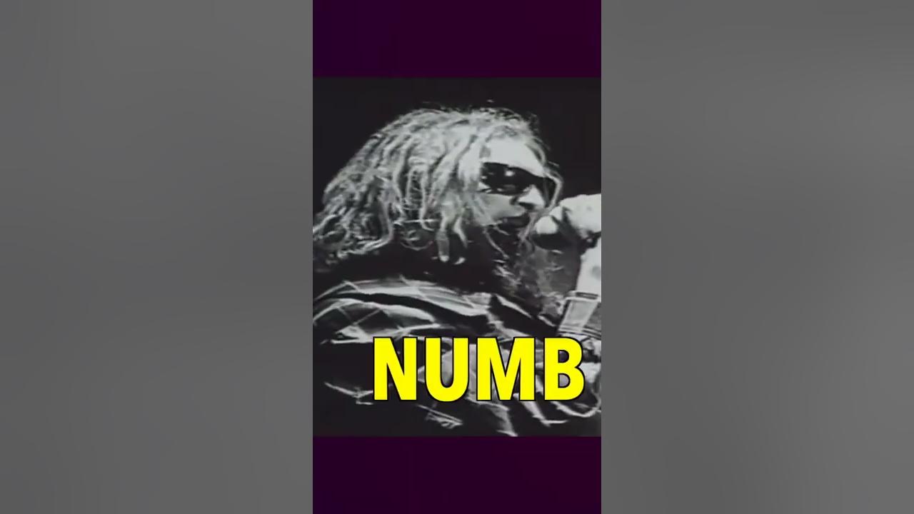 Layne Staley nailing the chorus in Man In The Box