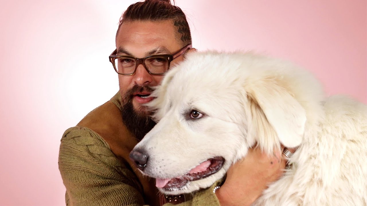犬にメロメロでギャップがすごい！ジェイソン・モモアの子犬インタビュー Jason Momoa The Puppy Interview