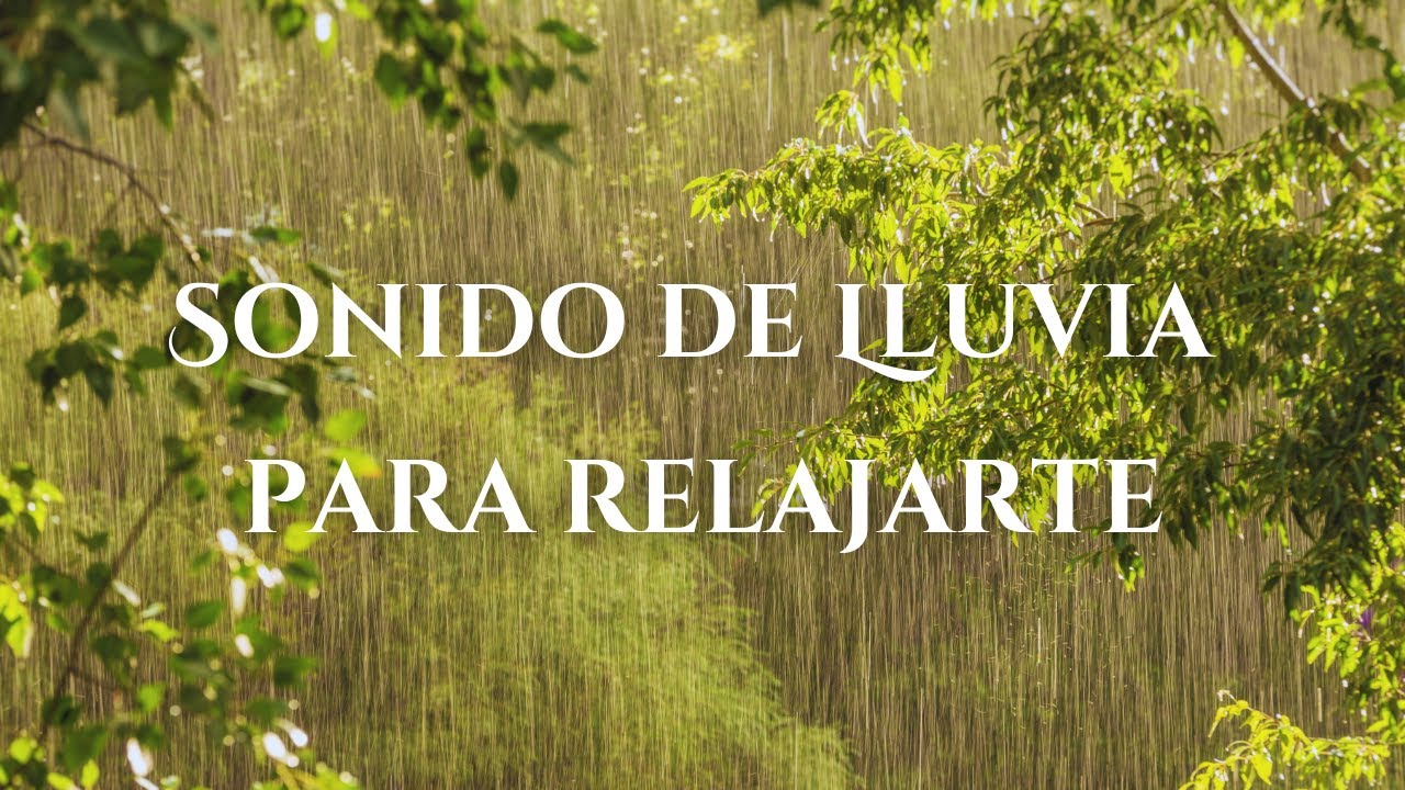 1 Hora de Sonido relajante de Lluvia | Olvida el Estres y reconecta con ...