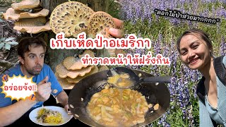 V337 เก็บเห็ดป่าอเมริกา ทำราดหน้าหมี่กรอบให้ฝรั่งกิน Foraged wild mushroom to cook Thai dish