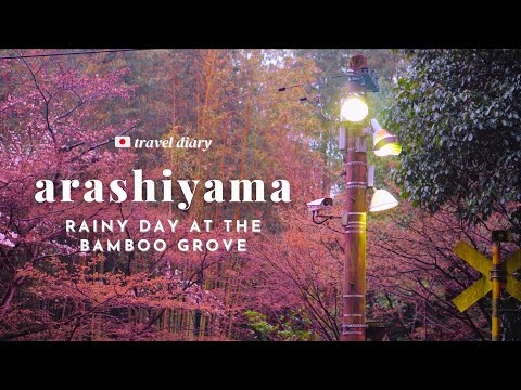 Rainy day in Arashiyama, Japan ☔🎋 Relaxing Kyoto bamboo grove #SlowTravelDiaries in Japan 🇯🇵 – pt. 3