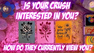 Is Your Crush Interested In You? How Are They Currently Viewing You? Tarot Pick a Card Reading