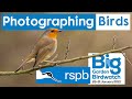 Photographing birds during the rspb big garden bird watch