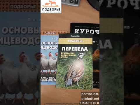 Видео: Птица пъдпъдък: описание, начин на живот, разпространение