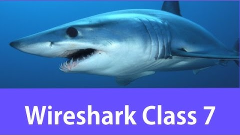 Wireshark Certified Network Analyst Class #7