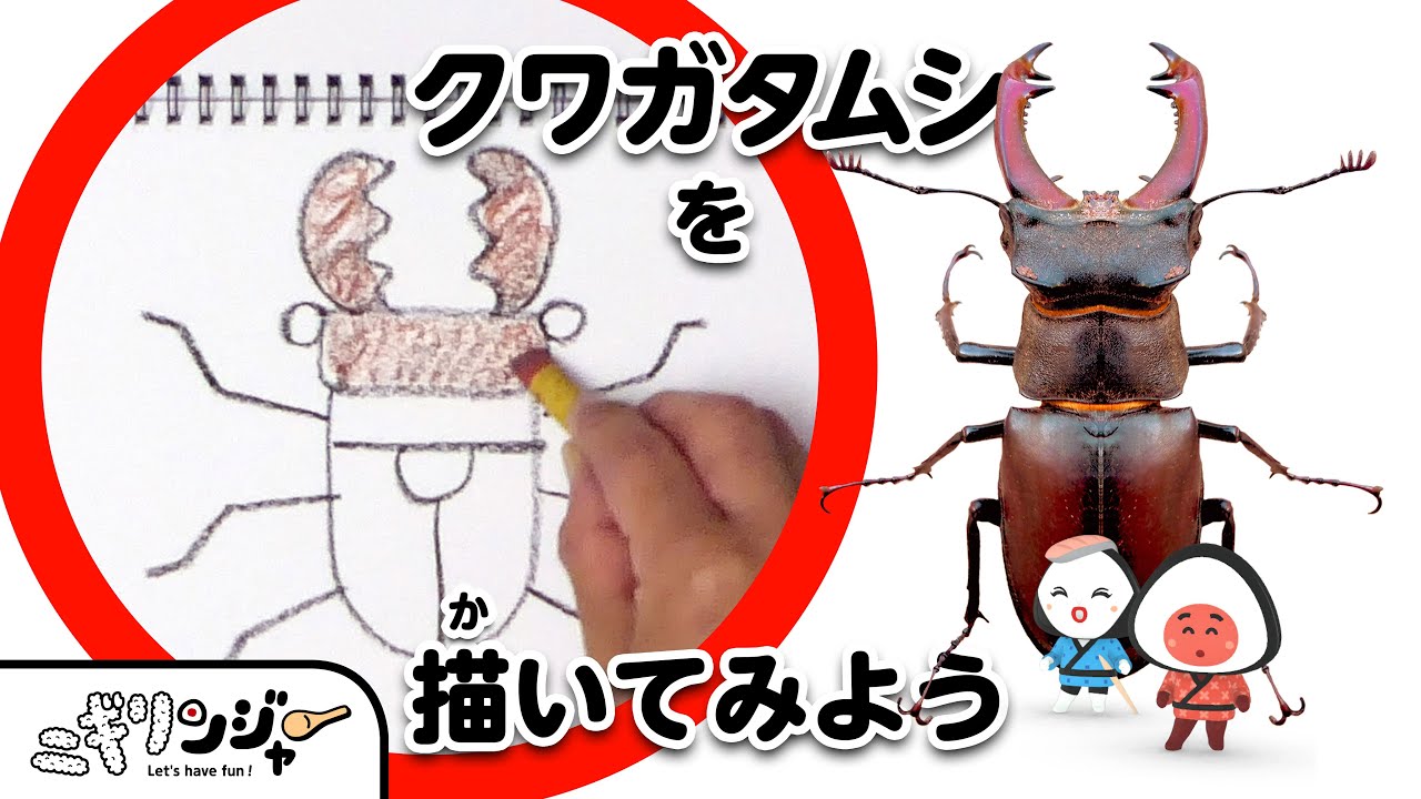 夏の虫たち　子供が書いた絵　色鉛筆絵　孫の絵 子ども向け】幼児から描ける昆虫の絵！プロのイラストレーターが教える