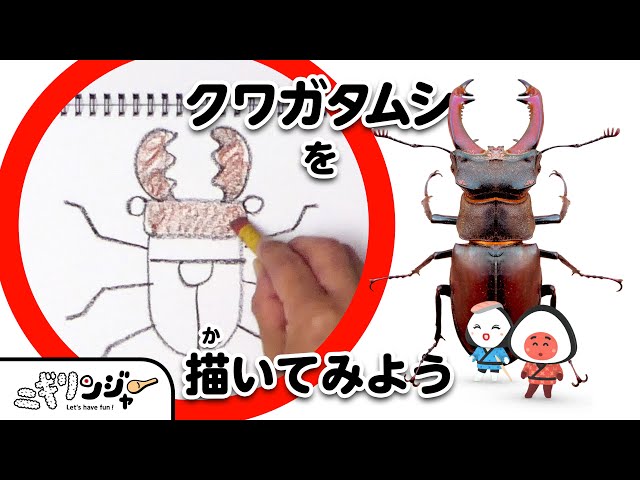 sddefault.jpg