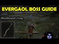 How to kill bloodhound knight darriwil evergaol boss elden ring