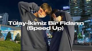 Tülay-İkimiz Bir Fidanın(Speed Up) Resimi