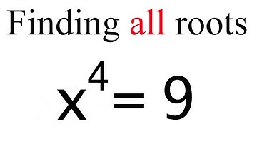 How to solve a Polynomial to the 4th Power by Factoring