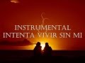 intenta vivir sin mi letra