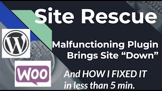 Fixing Wordpress Woocommerce Site after plugin crashed it