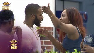 Day 49: Erica loses it | Big Brother: Lockdown | Africa Magic
