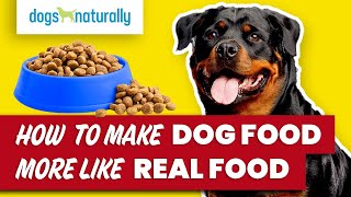 How To Make Dog Food More Like Real Food