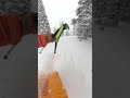 Copper mountain powder day