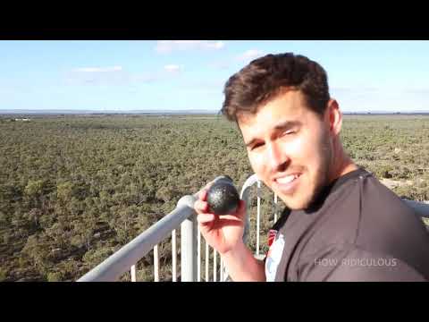 Egg Survives 45m Drop Test With Line X!