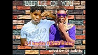 DJ kapito ft Sed Rider ( because of you )