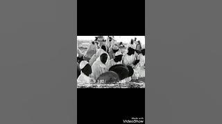 أولاد البرعي وياسين عبدالجبار ـ الله الله