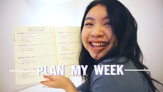 PLAN MY WEEK WITH ME | How to Be Productive Using a Bullet Journal