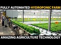 Fully automated hydroponic farm  modern hydroponic farming  amazing agriculture technology