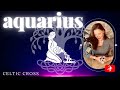 AQUARIUS | Fresh Start, Across The Board | Celtic Cross | Jan 29th-Feb 3rd