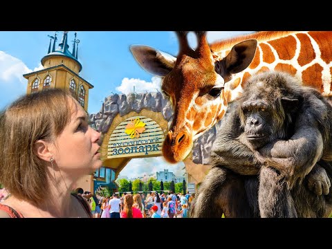 Video: Moskva Zooparkına Necə Getmək Olar