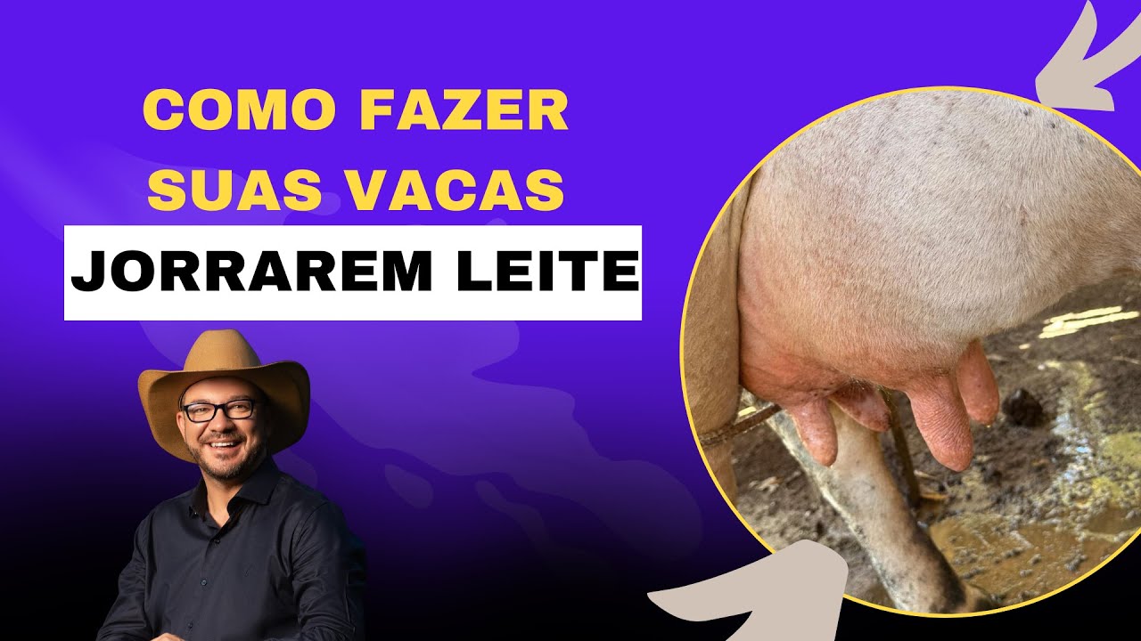 DESCUBRA COMO FAZER SUAS VACAS JORRAREM LEITE