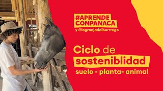 Ciclo de sostenibilidad: Suelo, planta y animal por @LaGranjadelBorrego