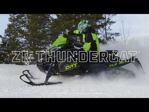 Video: Utility snowmobiles: rating at paglalarawan ng pinakamahusay