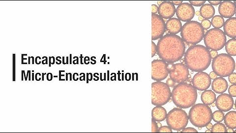 Encapsulates 4 Micro Encapsulation